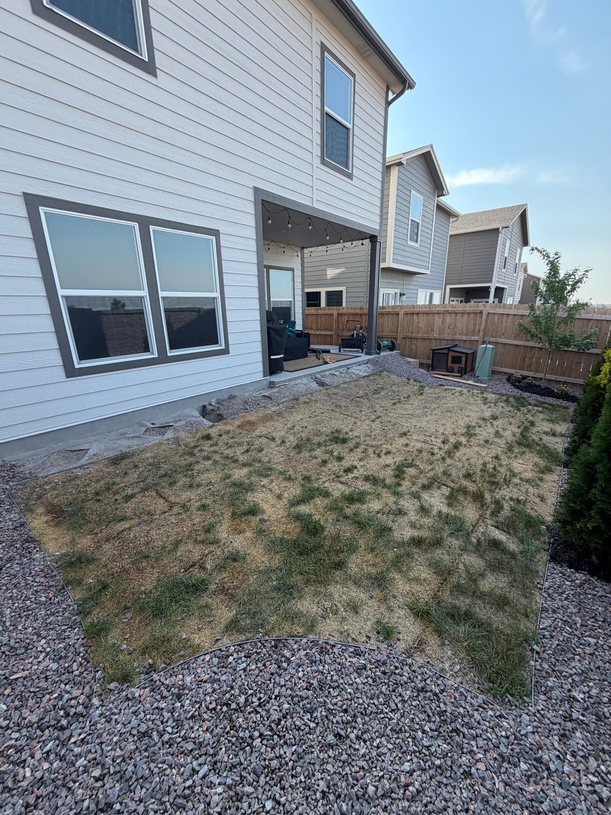 Before: patchy, dried-out natural grass in a Colorado Springs backyard