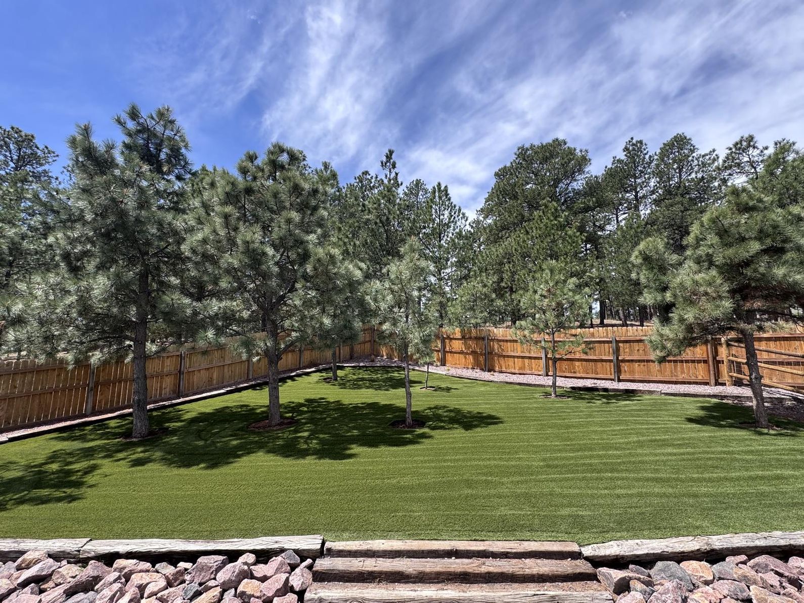 Artificial turf lawn in a Colorado Springs backyard surrounded by pine trees and a wood fence