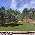 Artificial turf lawn in a Colorado Springs backyard surrounded by pine trees and a wood fence