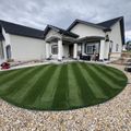 Dog on artificial turf in a Colorado Springs backyard during summer heat
